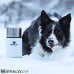 فلاسک غذا استنلی STANLEY مدل ADVENTURE FOOD JAR 700ml