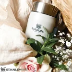 فلاسک غذا استنلی STANLEY مدل CLASSIC FOOD JAR 400ml