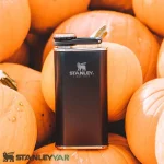 قمقمه کتابی استنلی STANLEY مدل WIDE MOUTH 230ML
