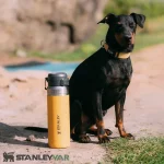 ماگ استنلی STANLEY مدل QUICK FLIP 1060ML