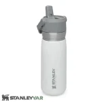 ماگ استنلی STANLEY مدل FLIP STRAW WATER 650ML