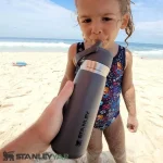 ماگ استنلی STANLEY مدل FLIP STRAW WATER 650ML