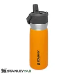 ماگ استنلی STANLEY مدل FLIP STRAW WATER 650ML