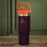 ماگ استنلی STANLEY مدل ICEFLOW FLIP 880ML