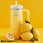 ماگ استنلی STANLEY مدل QUENCHER H2.0 0.88L