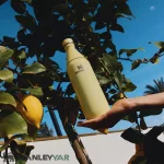 قمقمه استنلی STANLEY مدل ALL DAY SLIM BOTTLE 0.59L