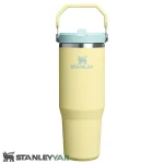 قمقمه استنلی STANLEY مدل FLIP STRAW TUMBLER 0.89L
