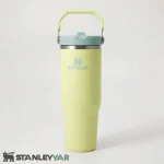 قمقمه استنلی STANLEY مدل FLIP STRAW TUMBLER 0.89L