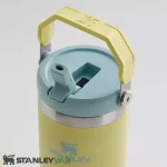 قمقمه استنلی STANLEY مدل FLIP STRAW TUMBLER 0.89L