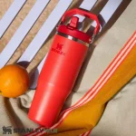 قمقمه استنلی STANLEY مدل FLIP STRAW TUMBLER 0.89L