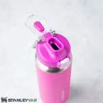 قمقمه استنلی STANLEY مدل WELLSPRING BOTTLE 0.71L