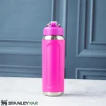 قمقمه استنلی STANLEY مدل WELLSPRING BOTTLE 0.71L